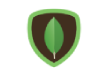 MongoDB