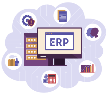 ERP Development