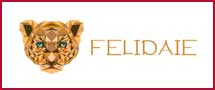 Felidaie Logo