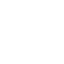  Wordpress developer